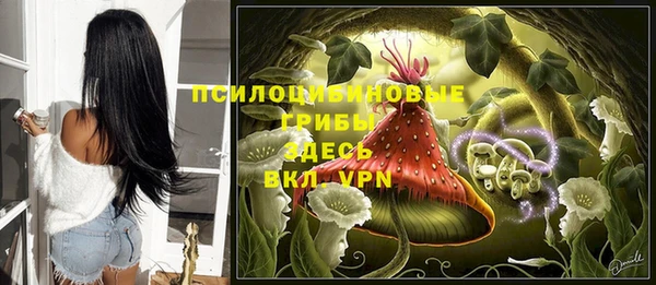 шишки Остров